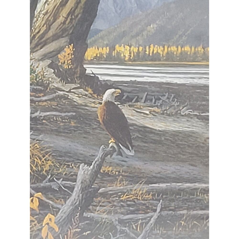 Eagle Perched Mountains Lake Painting Framed 8x10 Outdoors Relaxing EagleLife - Picture 3 of 13